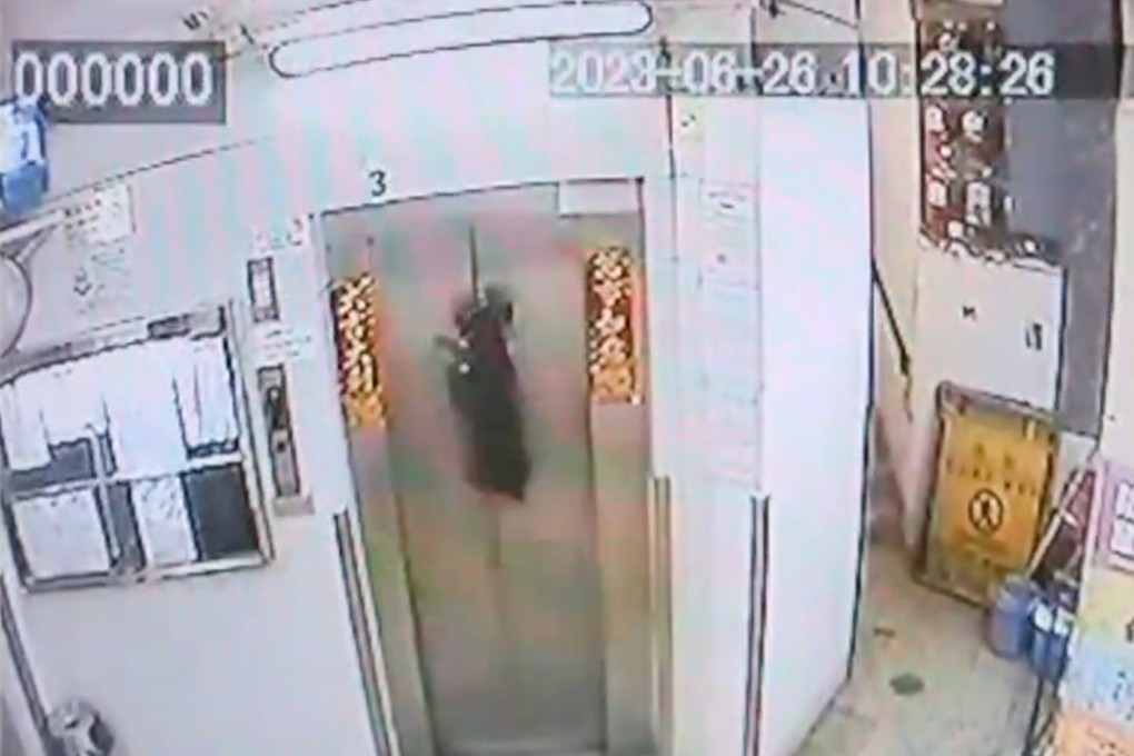 This picture taken from security camera footage shows a dog on a leash being dragged up by a lift before it manages to escape. Photo: Handout