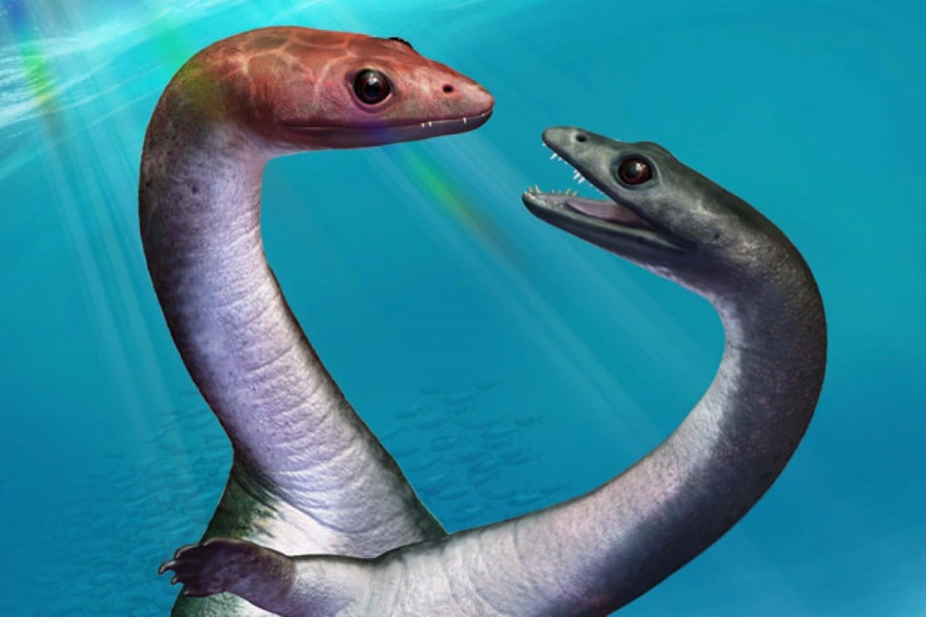 An artist’s rendering of the underwater dinosaur Keichousaurus. Researchers from China, Japan and Germany report that Keichousaurus males developed features distinct from females and reached sexual maturation through a process of puberty. Image: @Takumi