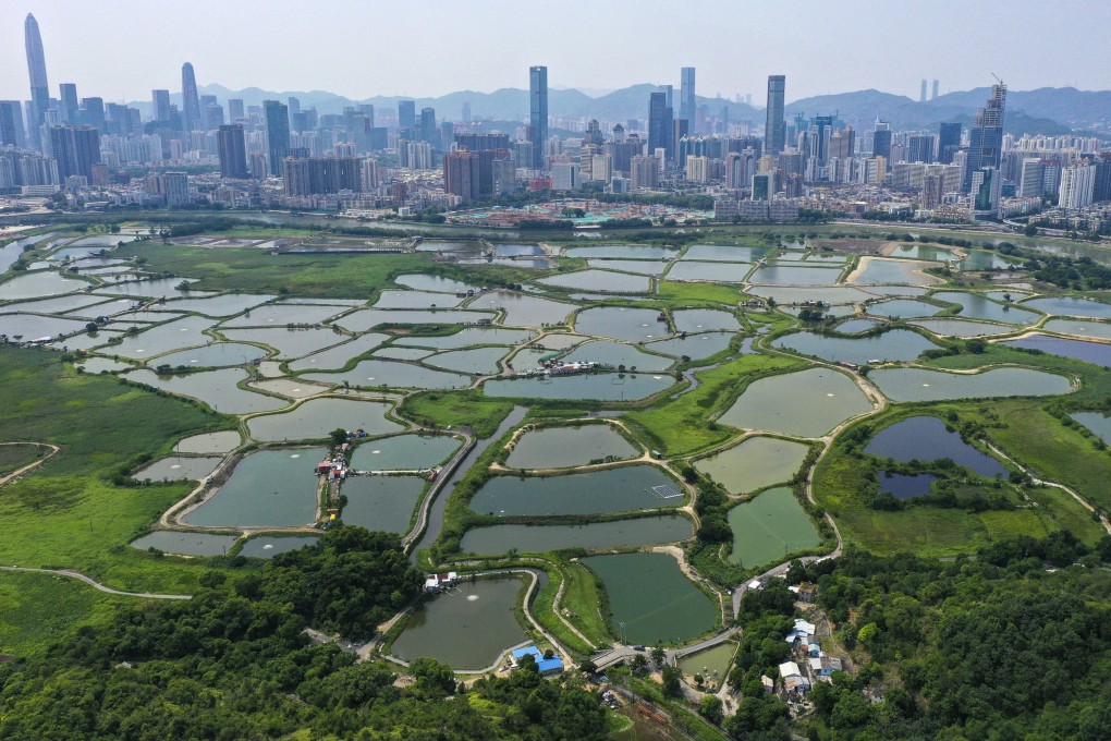 The proposed Northern Metropolis, located on land near the mainland border, is expected to create up to 650,000 jobs. Photo: May Tse