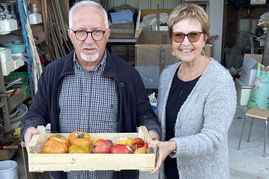 Jacky and Myriam Deschamps at home in Tours, France with some of their 2022 tomato harvest. They send the tomatoes to Myriam’s son Guillaume Galliot, chef at three-Michelin-star Caprice in the Four Seasons Hong Kong hotel. Photo: Chris Dwyer