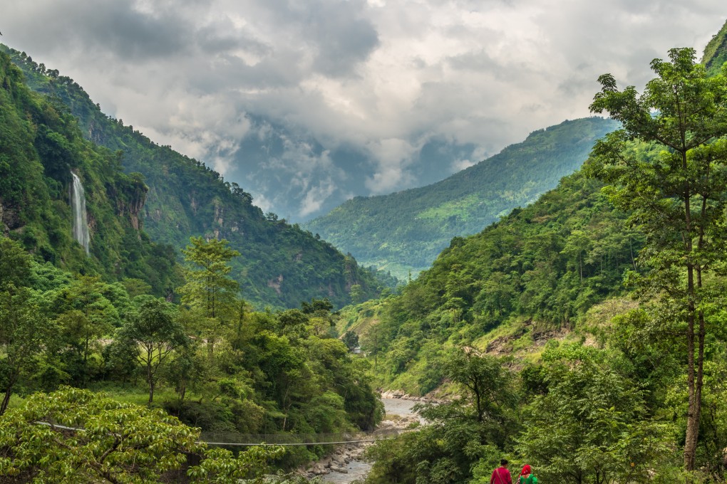 With tropical and temperate forests covering about 40 per cent of the Himalayan nation, the health of its trees is key to Nepal’s prosperity and its roughly 29 million people. Photo: Shutterstock