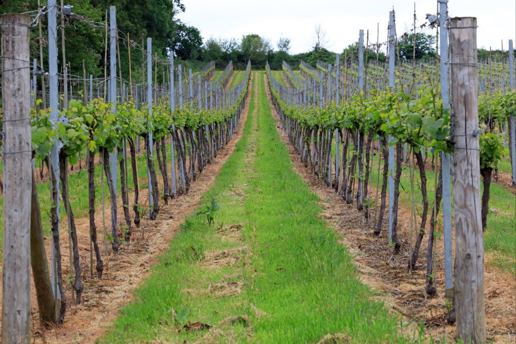 We look at 7 unlikely wine destinations, some with thousands of years of wine making, others with a more recent history. Above: a vineyard in the Cotswolds in the southwest of the UK. Photo: Shutterstock