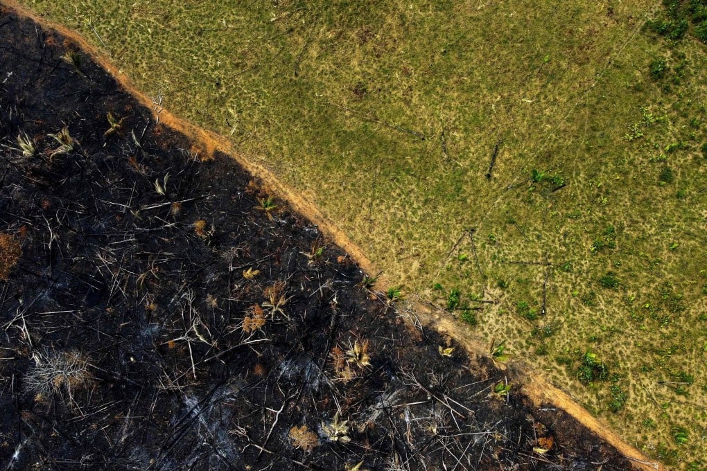 Amazon deforestation surged to a 15-year high in recent years. File photo: AFP