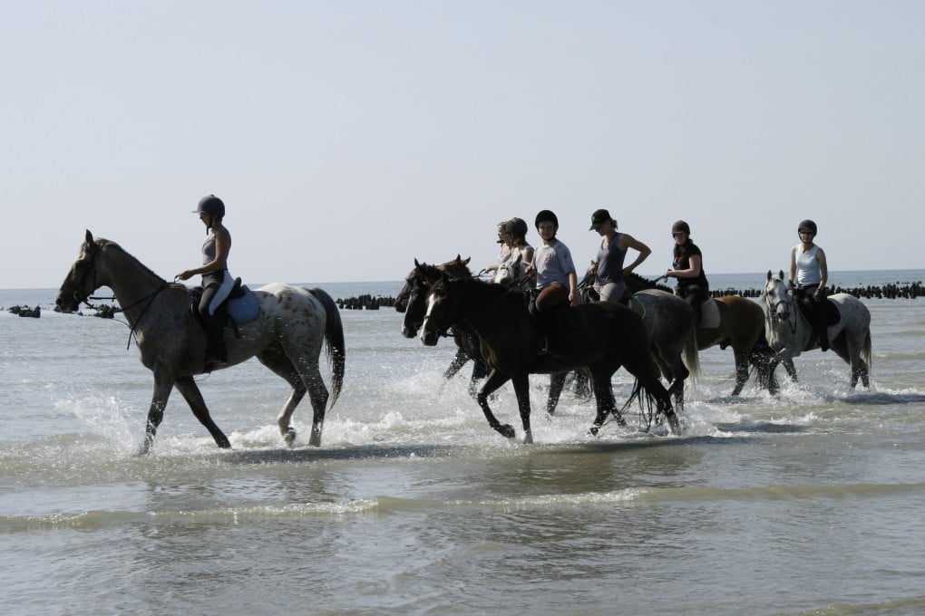 An early morning horseback ride through the bay of the Somme is a typical activity in the French region famed for its World War I battle. Photo: John Brunton