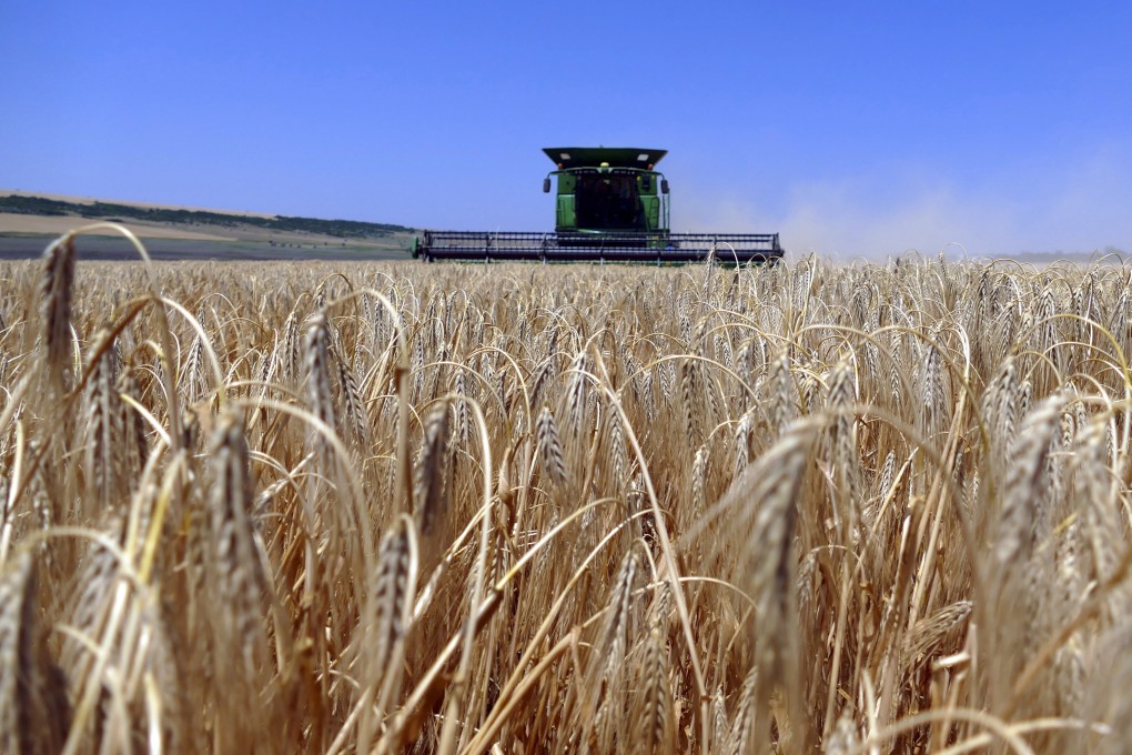 Ukrainian farmers harvest grain in the Odesa region. The Black Sea deal, which was brokered by Turkey a year ago, allowed Ukraine to send agricultural goods from its seaports despite the war with Russia. Photo: EPA-EFE