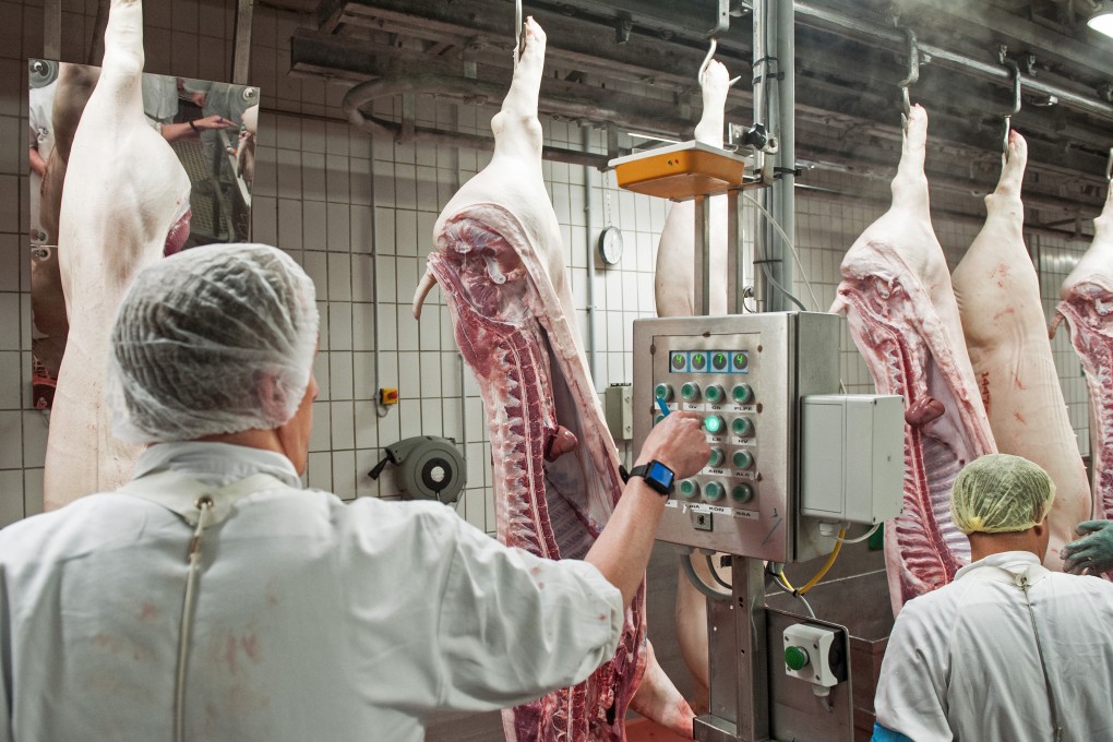 Chinese imports of German pork were banned in September 2020 due to African  swine fever. Photo: dpa