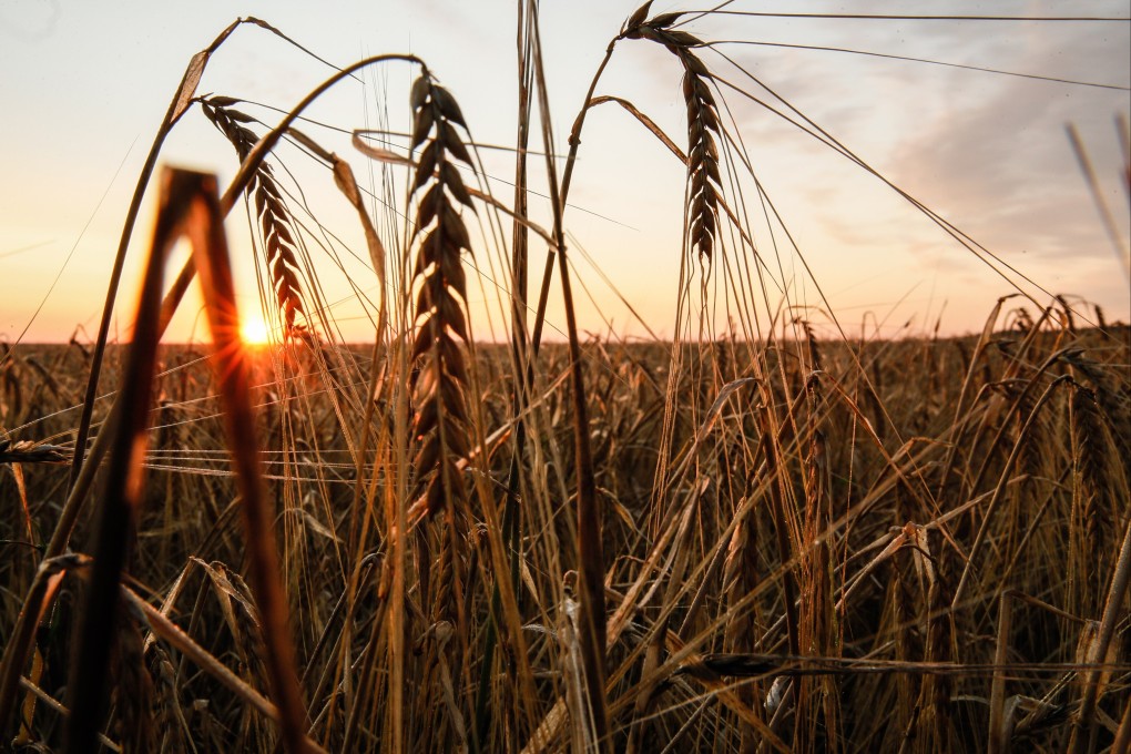 A deal brokered by Turkey and the United Nations to ensure the safe export of grain from Ukrainian ports will expire on July 17. Photo: EPA-EFE