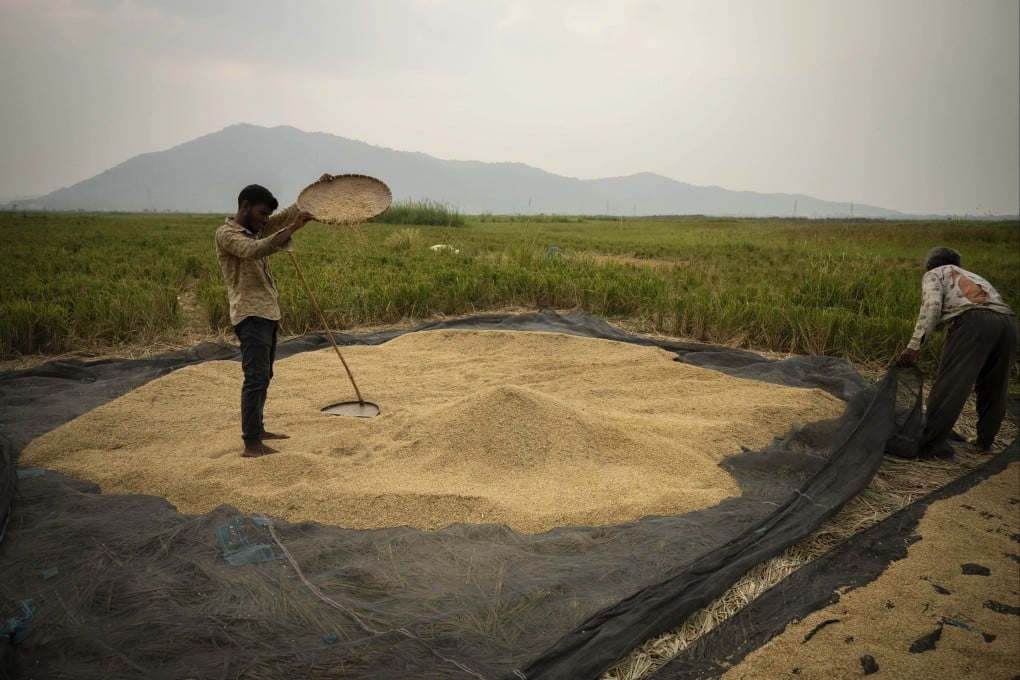 Farmers work in a paddy field on the outskirts of Guwahati, India. Photo: AP