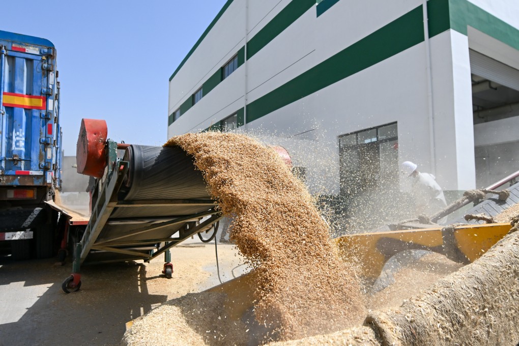 Workers transport grain in Tianjin last month. China is stepping up efforts to protect its food supply. Photo: Xinhua