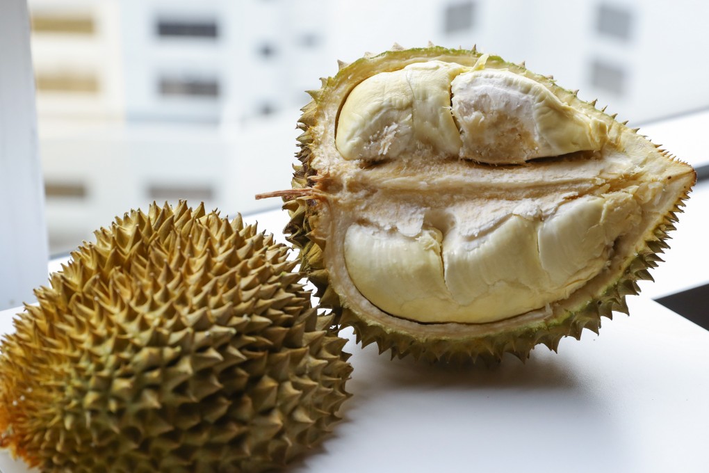 One of China’s first home-grown durians - we evaluate its taste, texture and smell. Photo: Sun Yeung