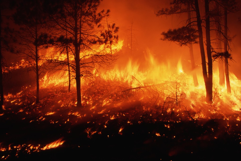 A forest fire burns out of control in a pine forest on the Mescalero Apache Indian Reservation in the US state of New Mexico. The UN secretary general said recently the “era of global boiling has arrived”. Photo: 
Getty Images