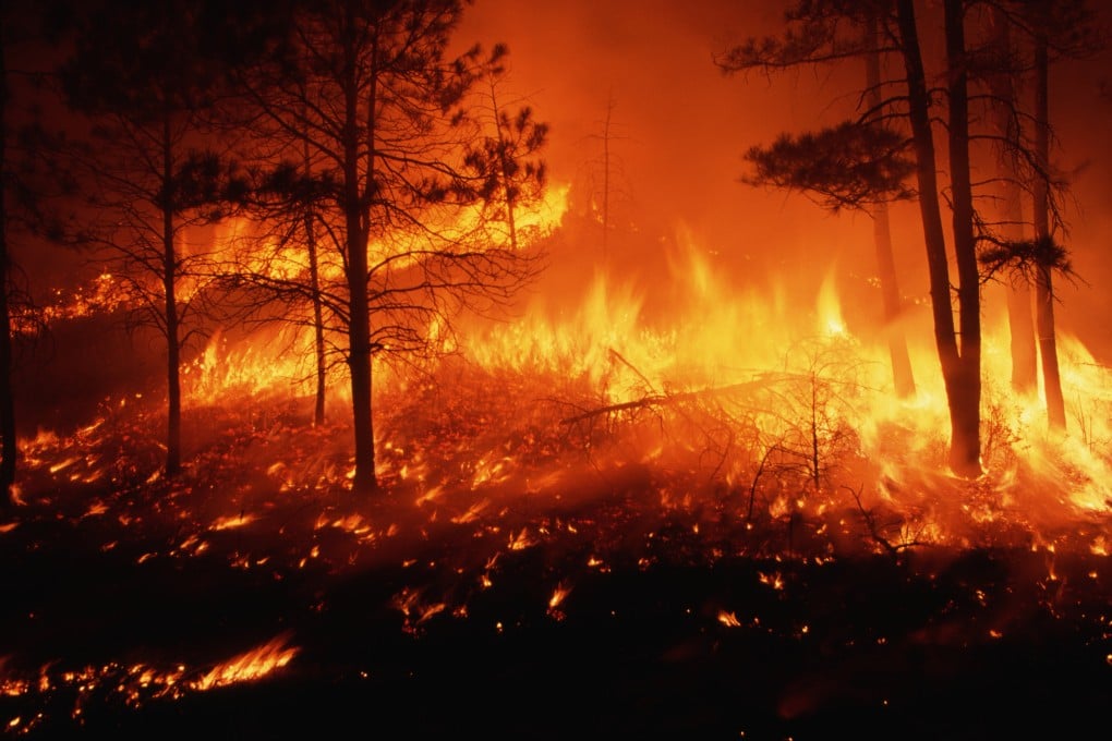 A forest fire burns out of control in a pine forest on the Mescalero Apache Indian Reservation in the US state of New Mexico. The UN secretary general said recently the “era of global boiling has arrived”. Photo:
Getty Images