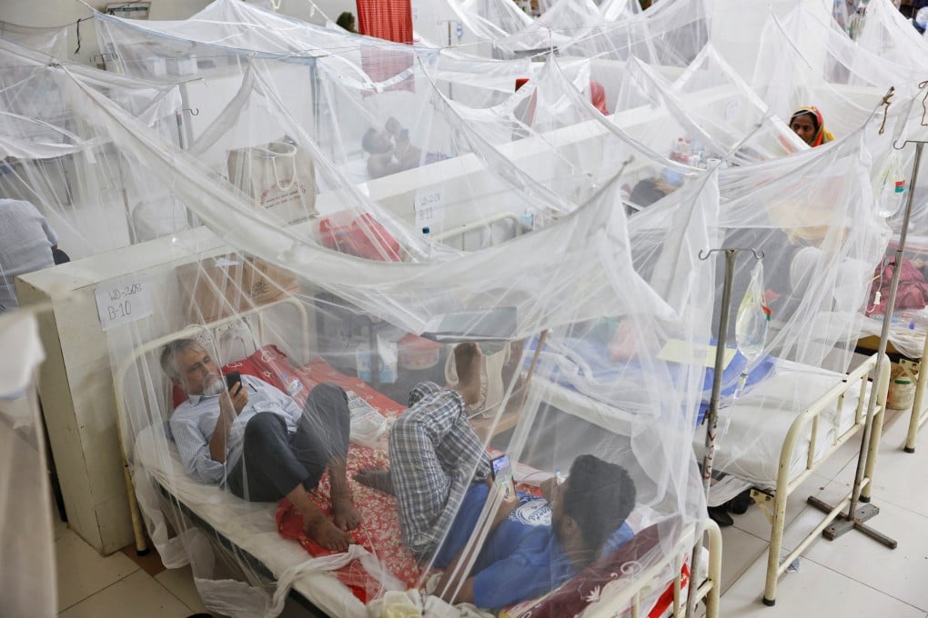 Dengue-infected patients stay under mosquito nets as they receive treatment at the Shaheed Suhrawardy Medical College and Hospital in Dhaka, Bangladesh on July 26. Photo: Reuters