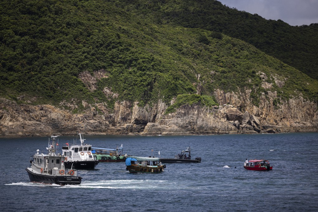 Boats circle the carcass of a whale in the waters of Hong Kong on July 31. Photo: AP