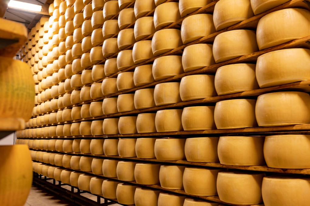 A warehouse of cheese. An Italian man died after a warehouse shelf collapsed, causing an avalanche of cheese wheels to bury him. Photo: Shutterstock