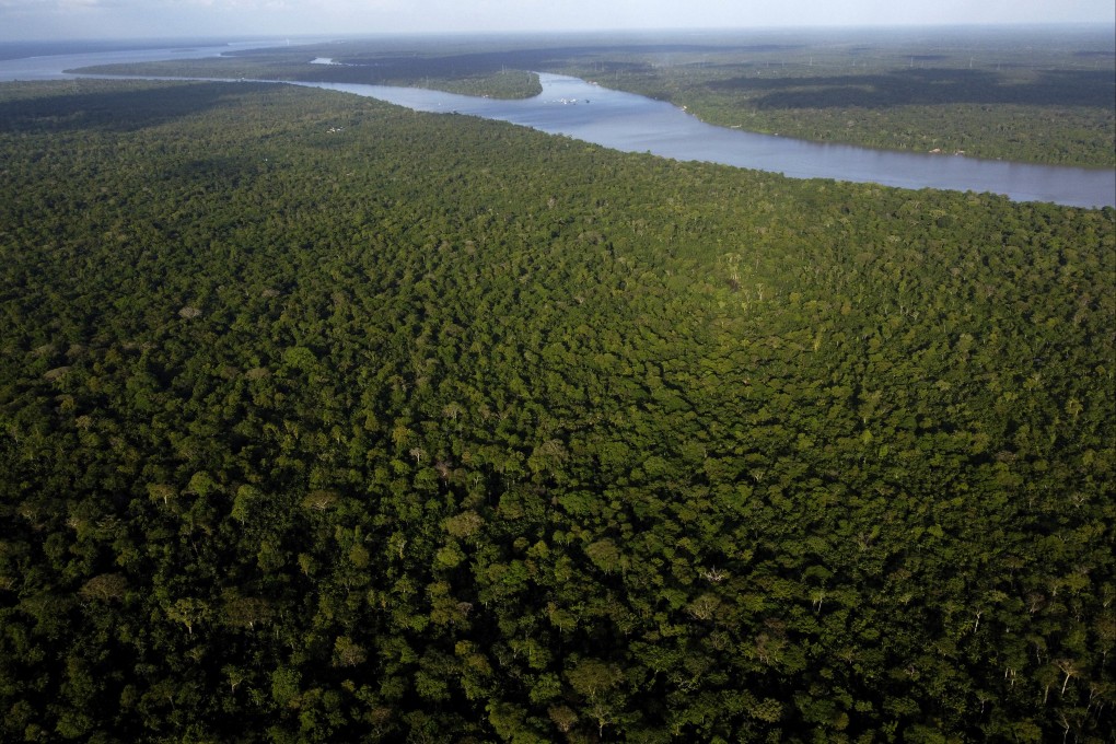 The Amazon is home to an estimated 10 per cent of Earth’s biodiversity, 50 million people and hundreds of billions of trees. Photo: AP