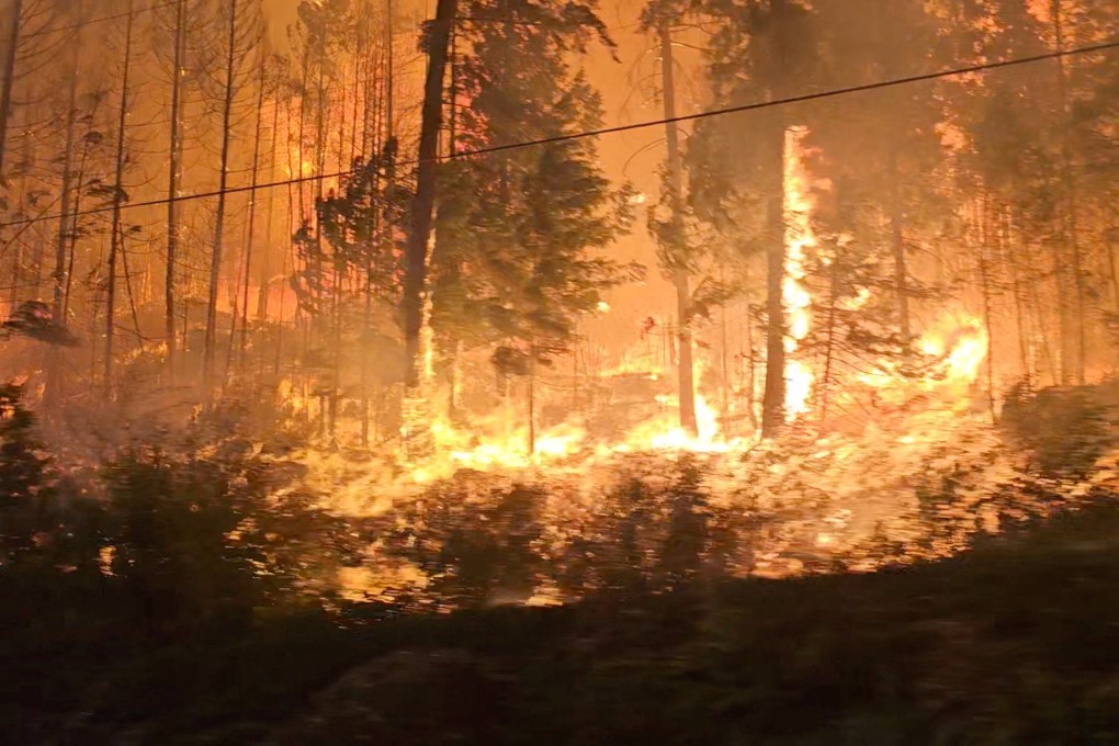 A view of fire close to highway near Sorrento, British Columbia, Canada. Photo: Nikki Goyer/via Reuters