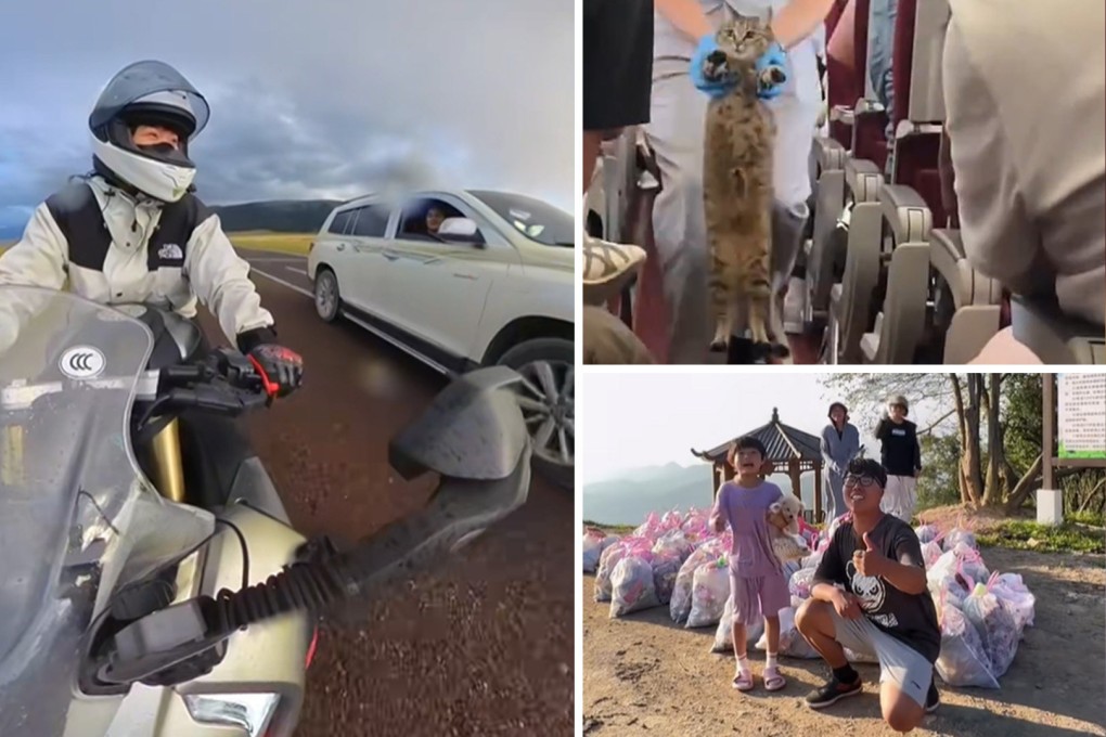 Strange travelling tales from China: a motorcyclist saved the day when parents forgot their son, a kitten tried to catch a plane and two families gave up some holiday time to clean. Photo: SCMP composite/Weibo