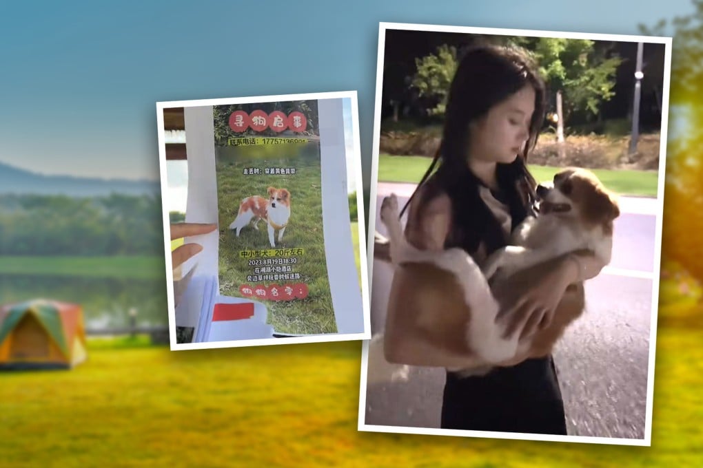 The heartwarming tale of a woman in China reuniting with her lost dog in the dead of night after a frantic two-day search has captivated mainland social media. Photo: SCMP composite/Douyin/Shutterstock