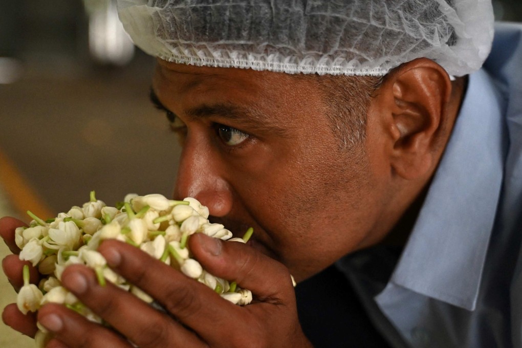 Raja Palaniswamy, a director at Jasmine Concrete, smells jasmine flowers at his factory in Madurai, India, a source of jasmine oil used by some of the world’s top perfumers. Photo: AFP