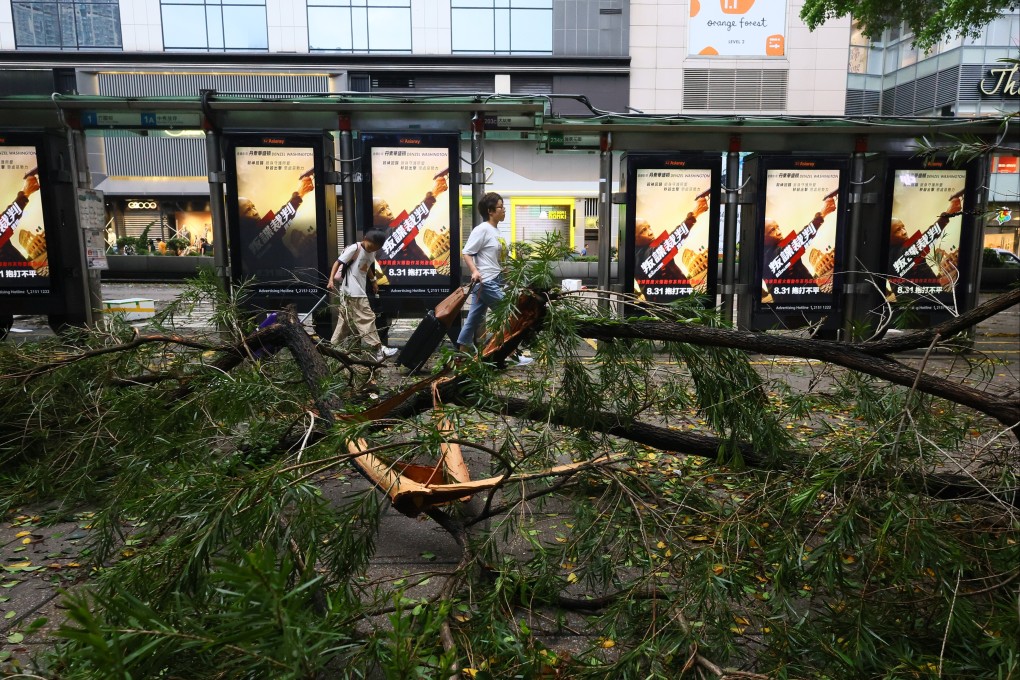 The public walk past fallen trees in Tsim Sha Tsui after Super Typhoon Saola hit Hong Kong. Photo: Dickson Lee