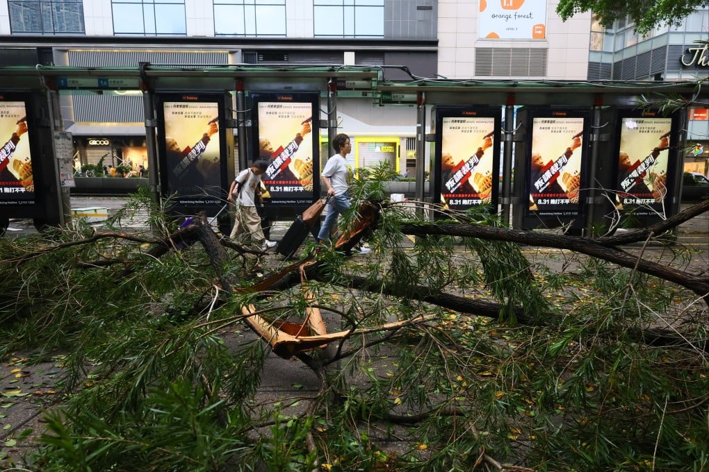 The public walk past fallen trees in Tsim Sha Tsui after Super Typhoon Saola hit Hong Kong. Photo: Dickson Lee