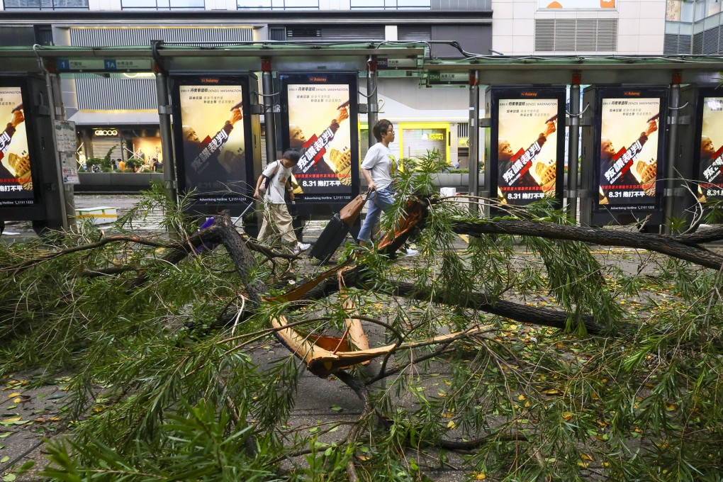 Aftermath of Super Typhoon Saola in Tsim Sha Tsui on September 2, 2023. Photo: Dickson Lee