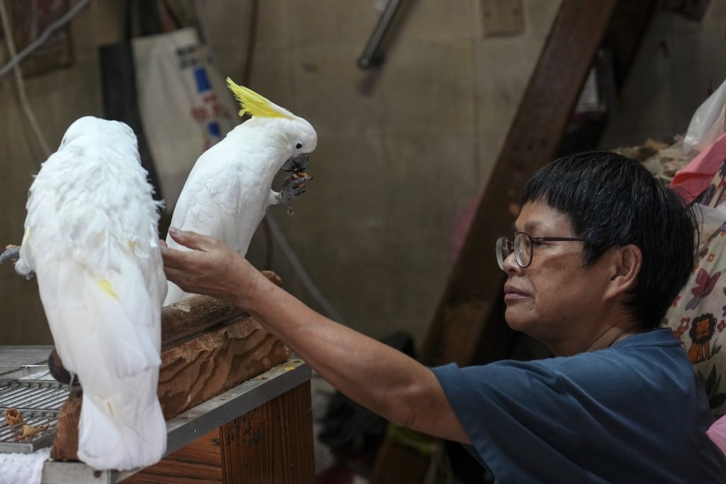 Yellow-crested cockatoos are offered for sale at a Hong Kong market. Photo: Elson LI