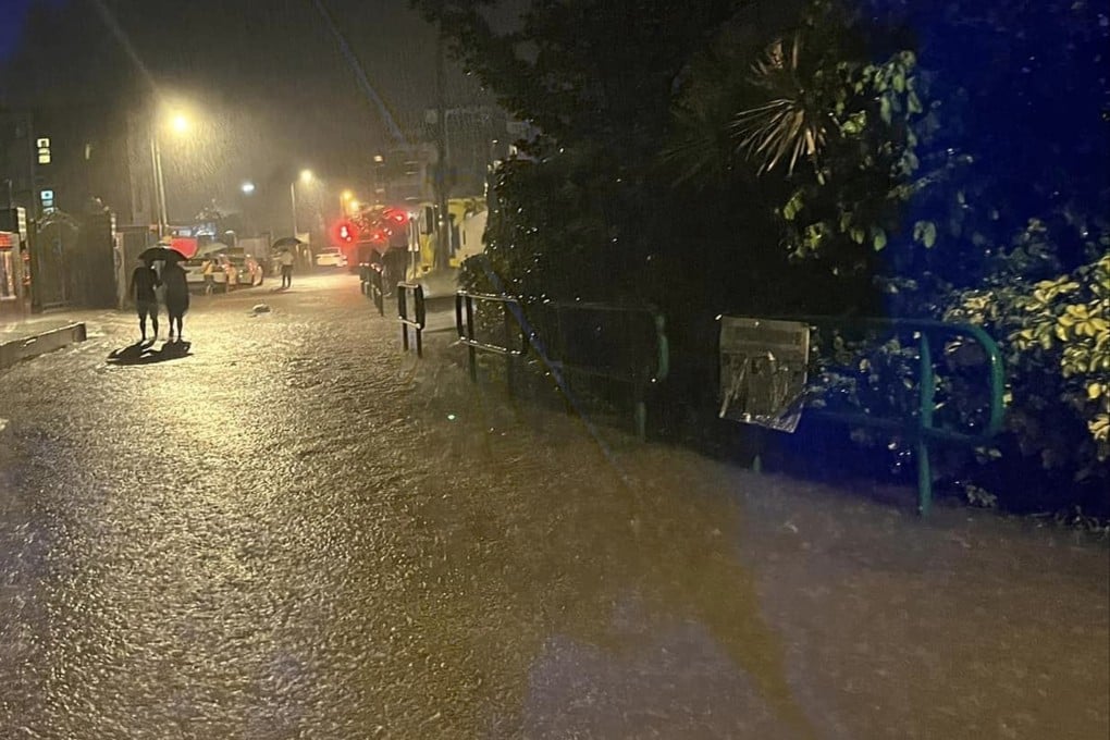 Floodwater gathers in Lung Yeuk Tau village in Fanling. Photo: Handout