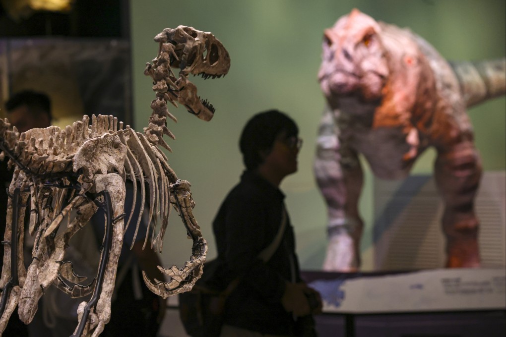 The skeleton of a flesh-eating Deinonychus, one of only three discovered, at a preview of the “Extinction, Resilience” exhibition at the new palaeontology gallery at the Hong Kong Science Museum. Photo: May Tse
