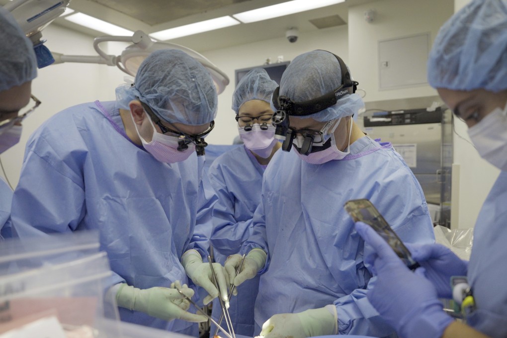 Surgeons remove a gene-edited transplanted pig kidney from the body of Maurice ‘Mo’ Miller. Photo: AP