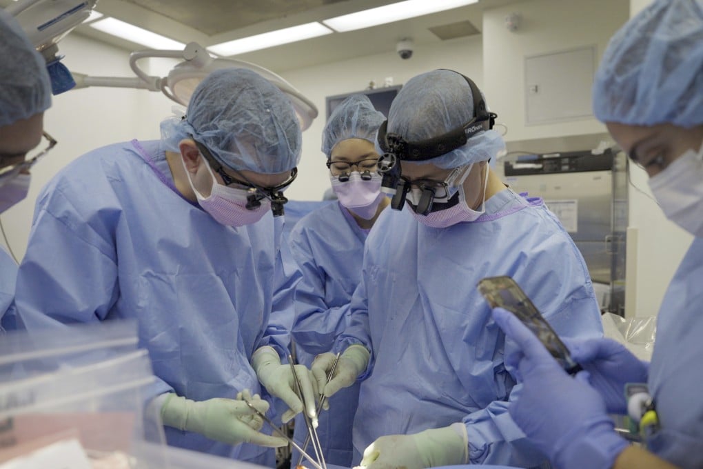 Surgeons remove a gene-edited transplanted pig kidney from the body of Maurice ‘Mo’ Miller. Photo: AP