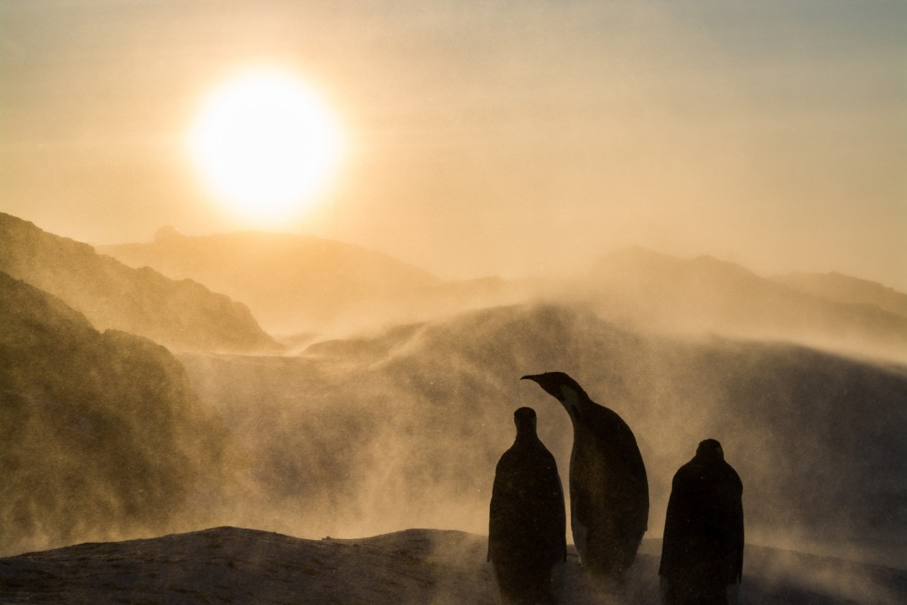 An unstable Antarctica could have far-reaching consequences for Earth’s climate and inhabitants. Photo: Clement Cornec/BPOTY
