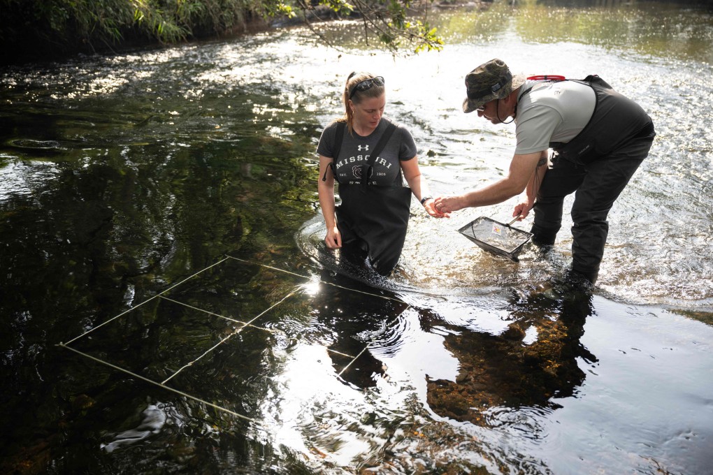 Members of the Freshwater Biological Association release juvenile freshwater mussels that have been reared in captivity into the River Irt in the Lake District, in the UK, on September 6. As biodiversity deteriorates around the world, affecting the economy in complex ways, investors need to think green. Photo: AFP