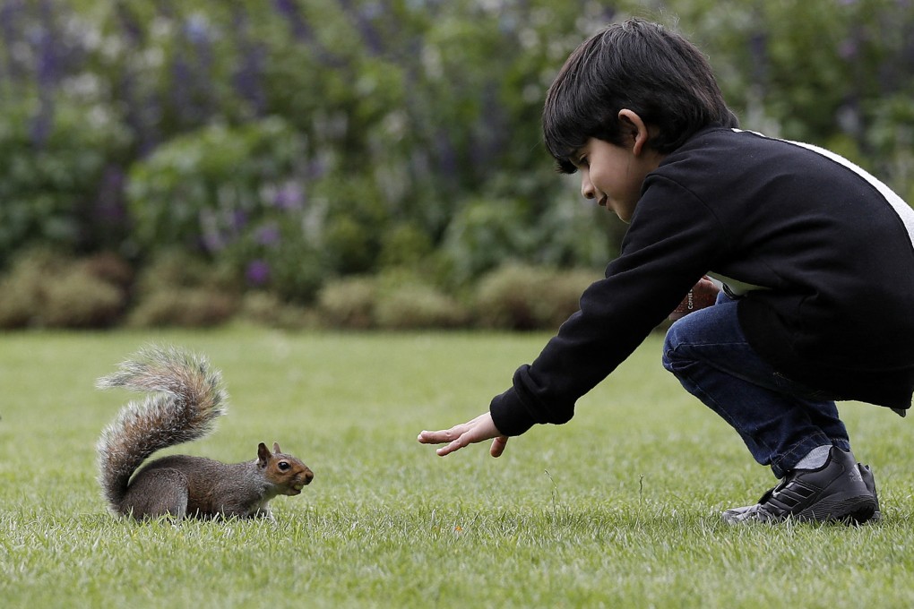 How do you deal with the overpopulation of an invasive species like the grey squirrel in the UK? In London, a restaurant is tackling the issue by serving them up to diners. Photo: AFP