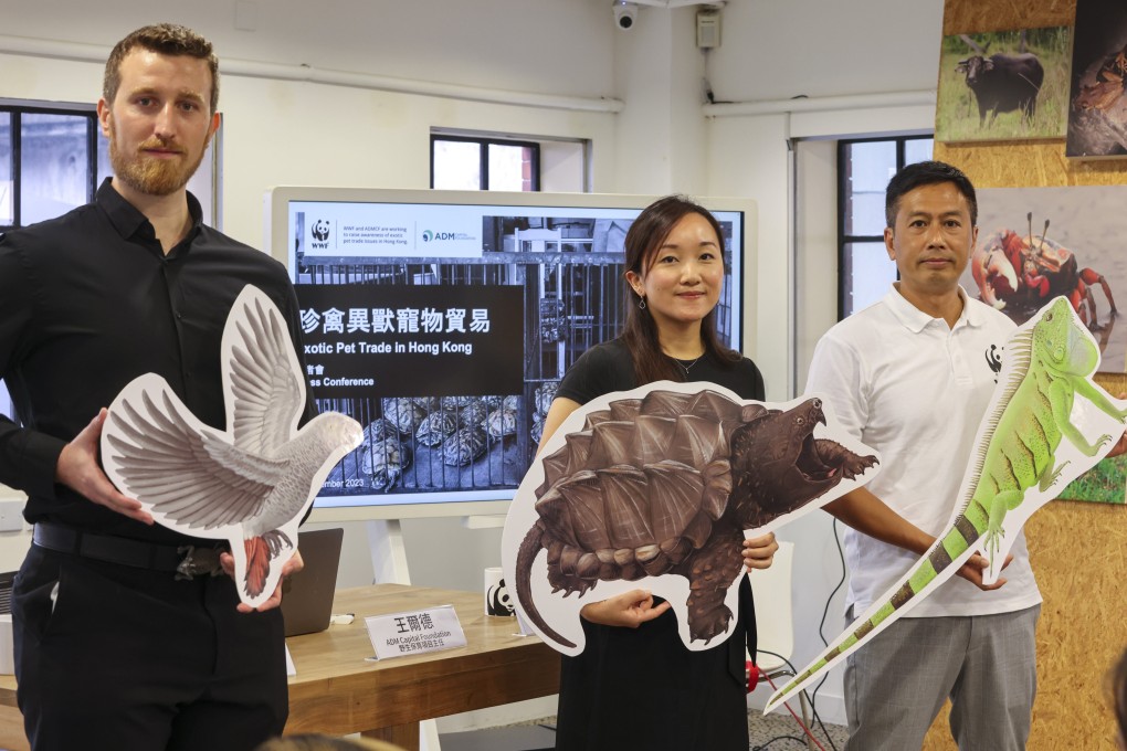 From the left, Sam Inglis, ADM Capital Foundation’s wildlife programme manager, Christie Wong, wildlife programme officer at ADM Capital Foundation, and Dr Bosco Chan, conservation director at WWF-Hong Kong, call for tougher laws on the trade in exotic pets and wildlife smuggling, at the WWF office in Central, on September 6. Photo: May Tse