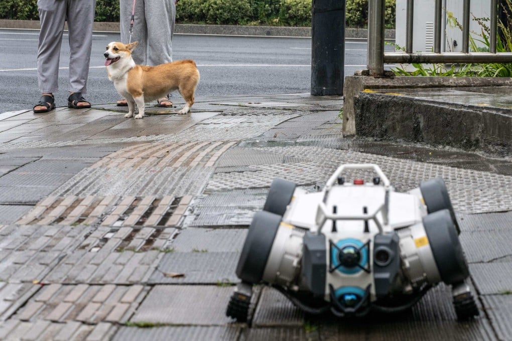 Deep Robotics’ X30 robot dog passed by a real canine on the street of Hangzhou. Photo: AFP