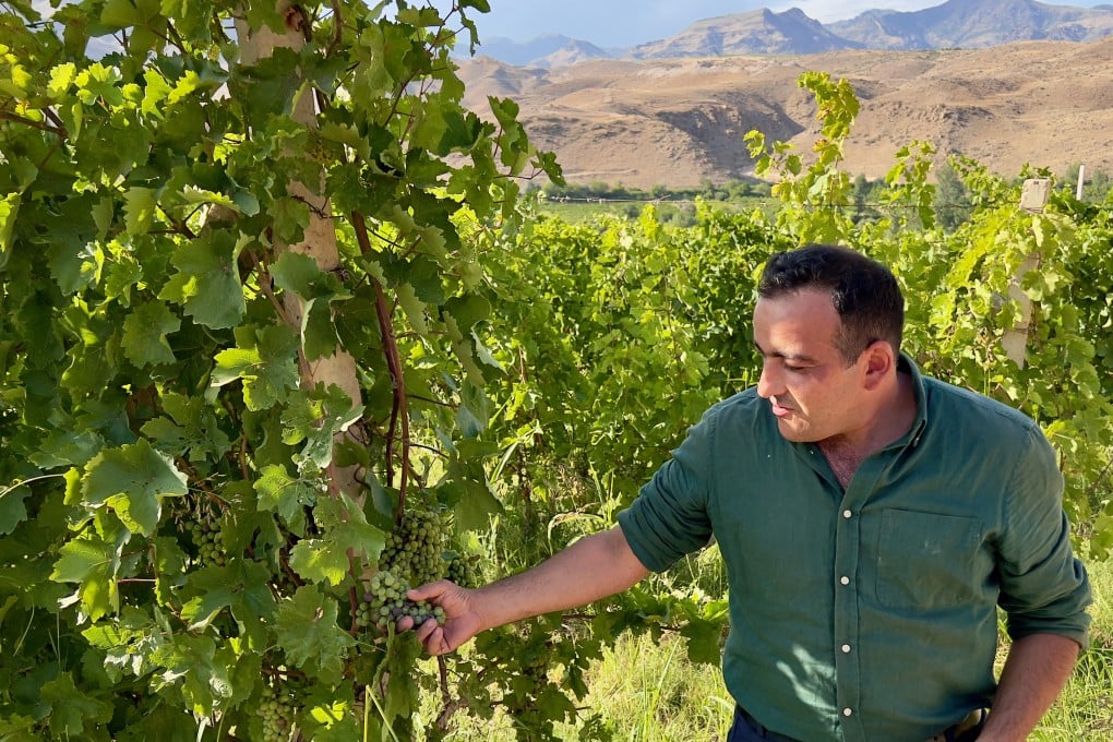 On a hillside in Armenia’s Vayots Dzor province, winemaker Norayr Grigoryan of Areni Vineyards, the country’s first post-Soviet private winemaking company, checks grapes in one of his company’s vineyards. Photo: Peter Neville-Hadley
