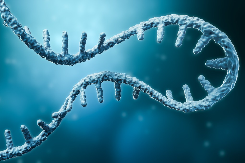 Messenger RNA or mRNA strand 3D rendering illustration with copy space. Photo: Shutterstock