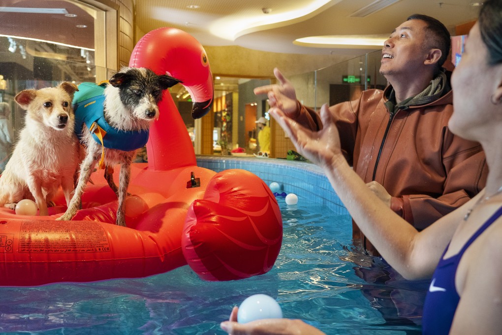 Pet owners Li Guangyu and Pixie Lim take their dogs for a swim at a pet centre in Shanghai. Li says he does not want the responsibility of having children. As China’s birth rate drops amid soaring childcare costs, more people are choosing careers, pets and partying over marriage and children. Photo: Justin Jin