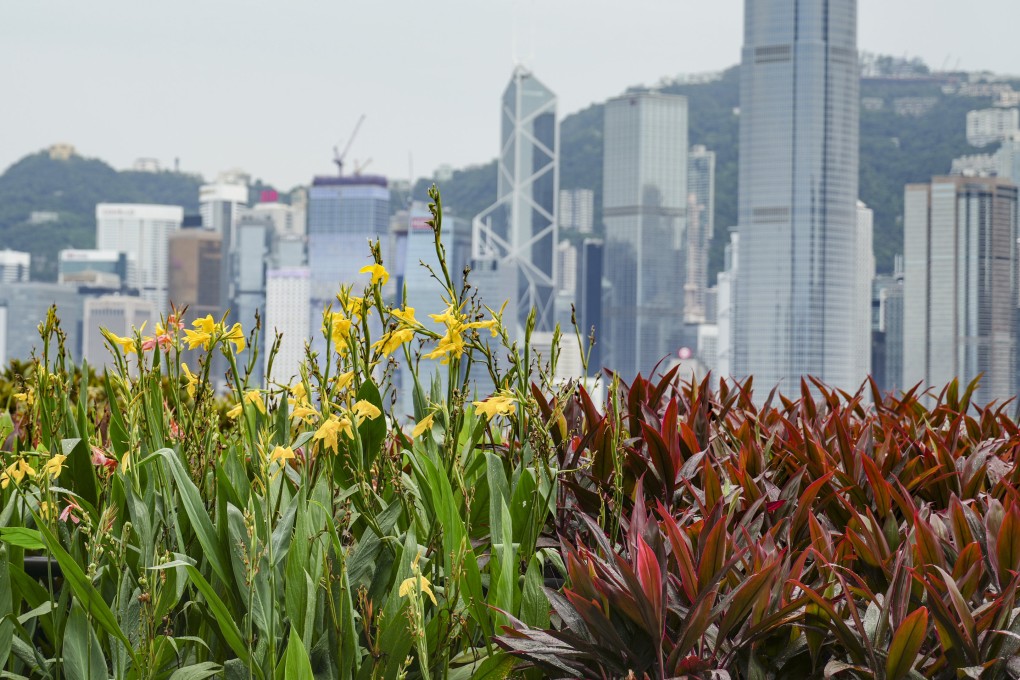 A Hong Kong’s Central district is seen from the Roof Garden on top of the M+ podium in West Kowloon Cultural District on August 18, 2023. Photo: Sam Tsang