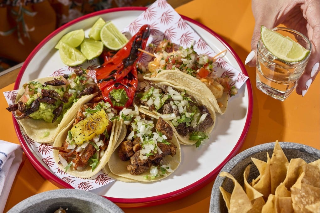 Hong Kong Mexican restaurant El Taquero’s taco selection. It has begun serving tacos with grasshoppers, guacamole, pico de gallo and crumbled cheese, and may add the ingredient to other dishes if it catches on with guests. Credit: El Taquero