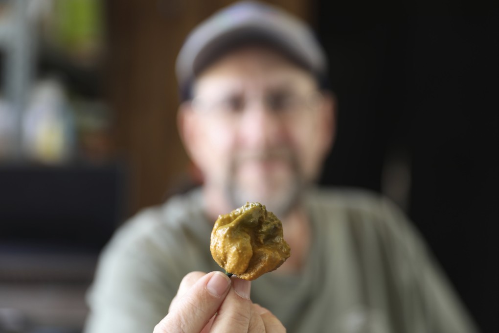Pepper X peppers (created by Ed Currie, above) are officially the hottest variety in the world, according to the Guinness Book of World Records, beating another of Currie’s peppers: the Carolina Reaper. Photo: AP