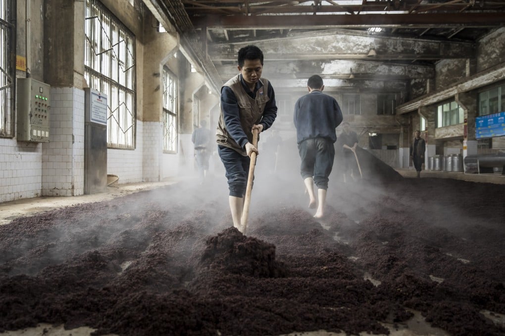 Employees spread out steamed sorghum to cool ahead of fermentation at the Kweichow Moutai Co. distillery in the town of Maotai in Renhuai, Guizhou province, China. Photo: Bloomberg