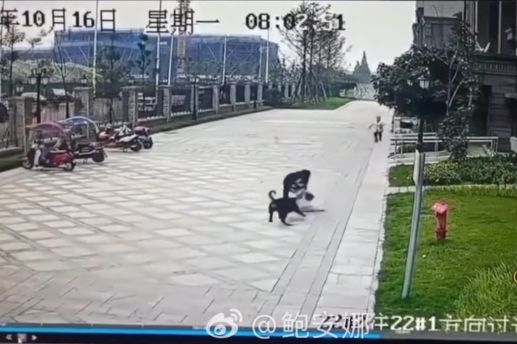 Screengrab from viral security footage shows a woman try to snatch the child away to safety as the dog continues its attack. Photo: Weibo