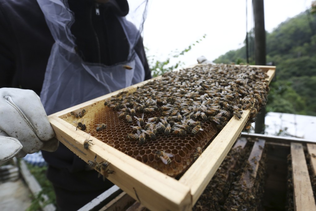The incident occurred at ForME HONEY in Wo Ping San Tsuen in Tuen Mun. Photo: Jonathan Wong