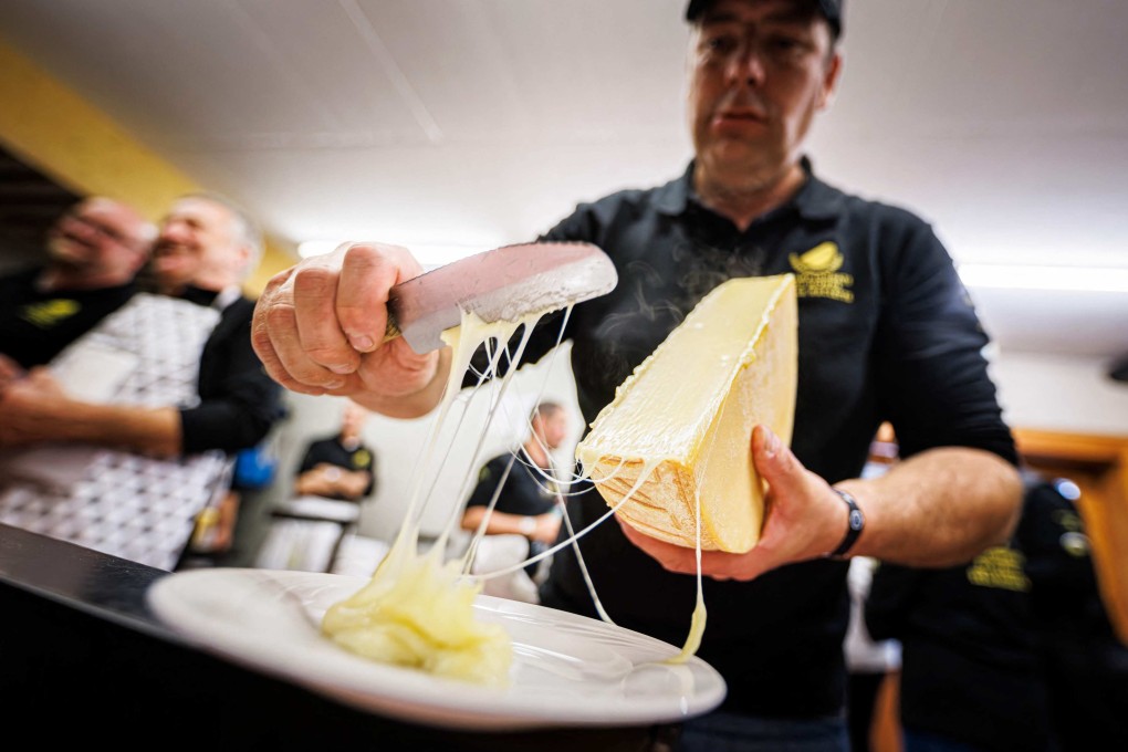 A “scaper” prepares a raclette during the first Raclette World Championships in a village in the Swiss Alps. Some 90 local and international cheeses were pitted against each other to find which are the best for use in making the Swiss native dish of melted cheese. Photo: AFP
