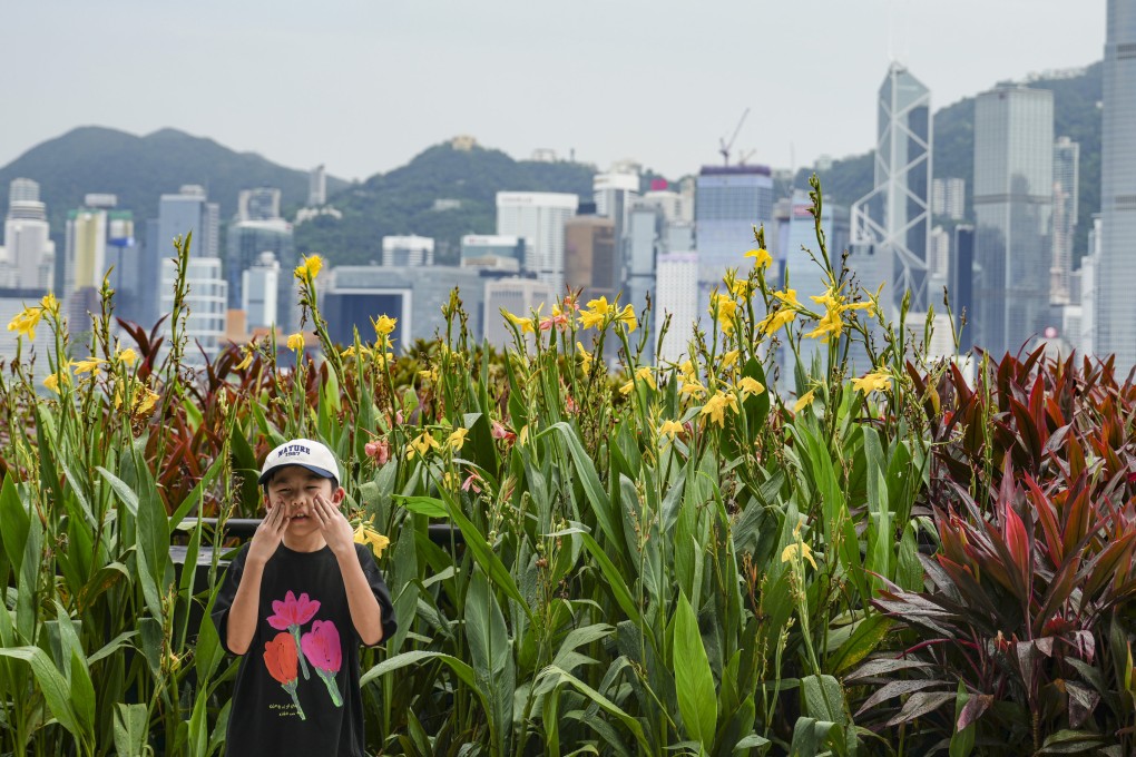 The Hong Kong government is keen to develop the city into a hub for green and sustainable finance serving mainland Chinese and international companies. Photo: Sam Tsang