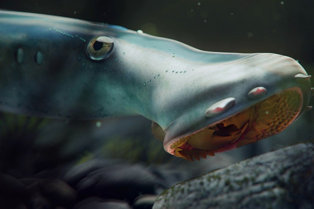 An artist’s impression of how the Jurassic lampreys would have looked. Photo: NICE Vistudio