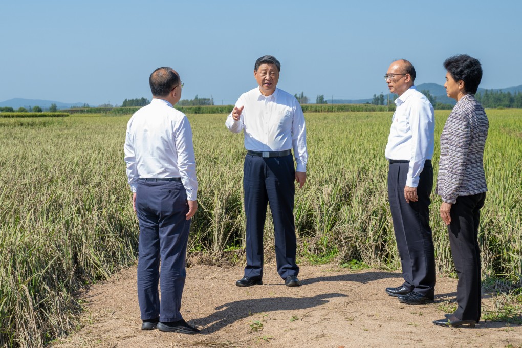 The remarks by Chinese President Xi Jinping show the party’s concerns about lax influence in the countryside as it embarks on its rural revitalisation agenda, according to analysts. Photo: Xinhua